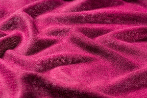 - Spray camelia