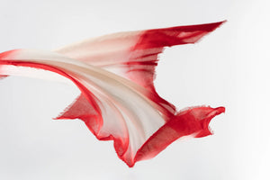 - Frame Rosso