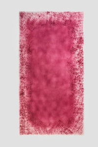 - Infinity Camelia